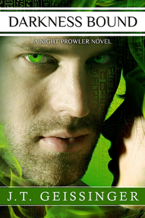 Darkness Bound (Night Prowler #5)